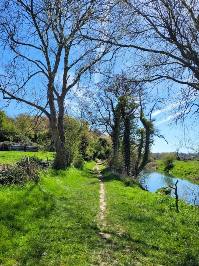 Les Dryades Riviere Et Mer Sainte-Marguerite  Exteriér fotografie